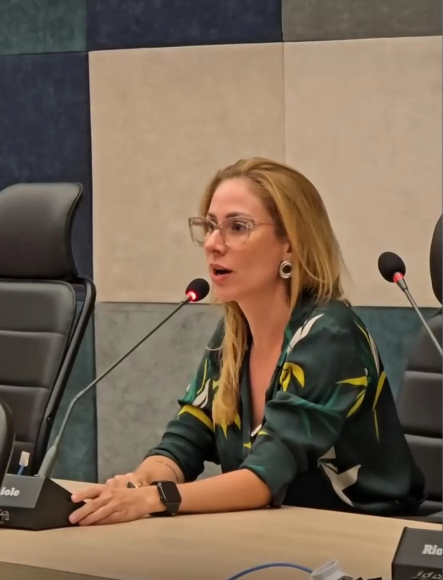 Mari Grotti falando na tribuna em sessão do Conselho
